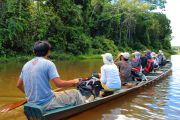 Balade en pirogue en Amazonie - Pérou