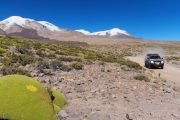 L'Altiplano dominé par la silhouette du Coropuna - Pérou