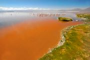 Laguna Colorada - Sud Lípez - Bolivie