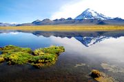 Le volcan Sajama (6542m) est le plus haut sommet de Bolivie
