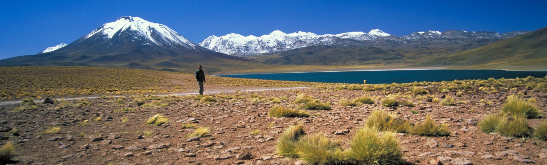 Laguna Miscanti - Désert d'Atacama - Chili